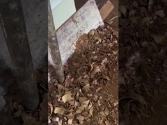 Dầu hạt nho ép lạnh