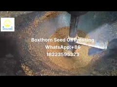 Máy hút dầu ép lạnh