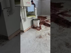 Máy nén dầu lạnh