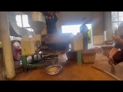 Dòng chế biến dầu cọ/dòng ép dầu cọ