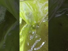 Máy lọc đậu nành bánh dầu ép lạnh